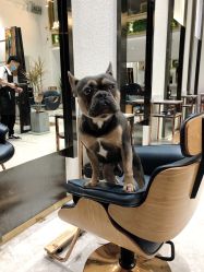-OnHair Salon