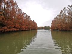 -上海海湾国家森林公园