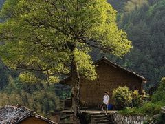 -杨家堂村