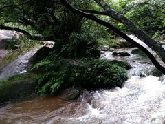 -赤水丹霞旅游区·佛光岩