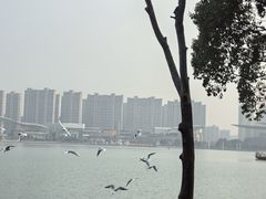 -高子水居