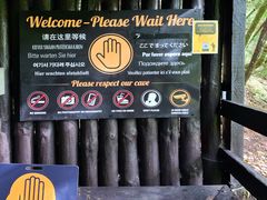 -怀托摩萤火虫洞