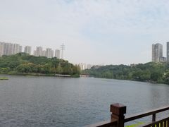 -重庆彩云湖湿地公园