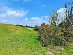 -春花秋色城市公园