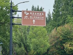 -东平国家森林公园