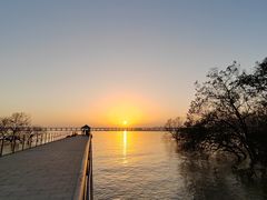 -宝安西湾红树林湿地公园