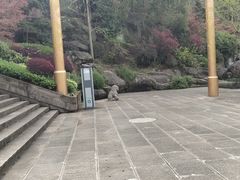 -三峡梯城
