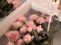 -原山国家森林公园