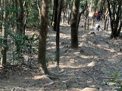 -梧桐山风景名胜区