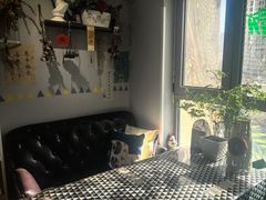 -捌楼咖啡书吧(南开店)