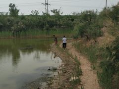 -大港湿地公园