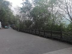 -羚羊峡古栈道森林公园