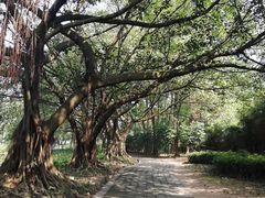 -南沙天后宫景区