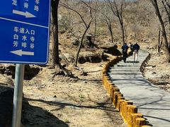 -白水寺森林公园