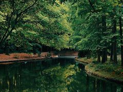 -上海共青森林公园