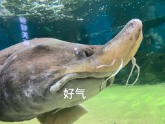-厦门海底世界