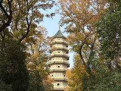 -灵谷景区