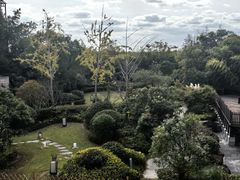 -上海崇明金茂凯悦酒店