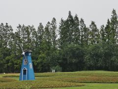 -上海长兴岛郊野公园