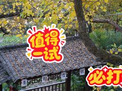 -塔川景区