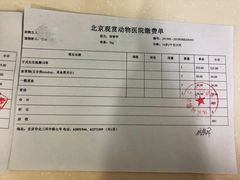 -北京观赏动物医院·24小时大型综合·猫专科·异宠专科