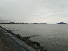 -海鸥岛