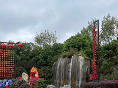 -合肥滨湖国家森林公园