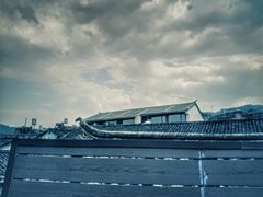 -YLK云南小粒咖啡·云里咖(二号店)