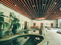 -天目湖涵田半山温泉