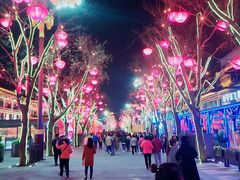 -大雁塔北广场音乐喷泉