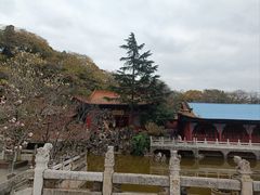 -圆通禅寺