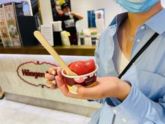 -哈根达斯(朝阳大悦城店)