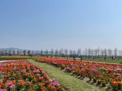 -漩门湾国家湿地公园