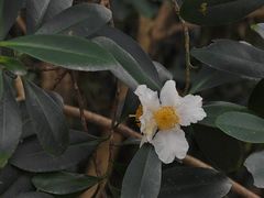 -火炉山森林公园