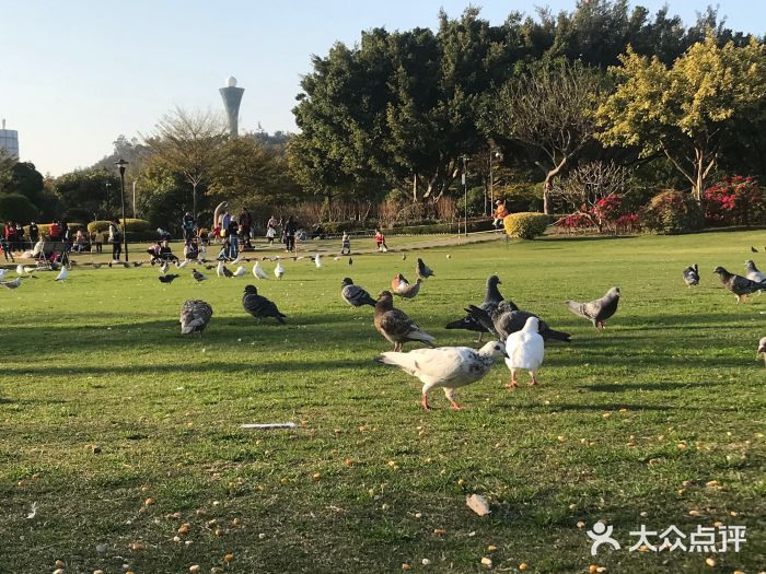 白鹭洲公园图片