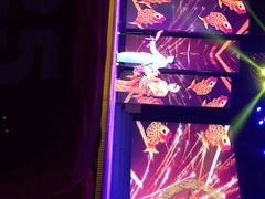 刘老根大舞台(正阳街分部)-大舞台剧场