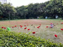 -广州长隆飞鸟乐园