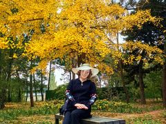 -国家植物园南园