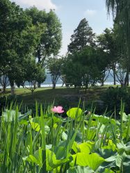 -玄武湖景区-情侣园游乐场