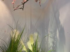 -蜜桃餐厅·伴山(绿宝广场店)