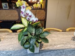 -鹿港小镇(霄云店)