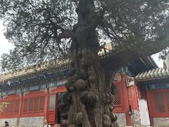 -北京国子监胡同