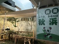 -深圳野生动物园