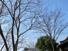 -惠山古镇·寄畅园