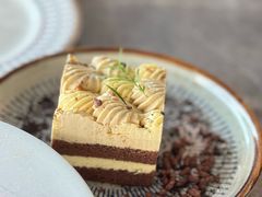 -Hi City·城市之巅