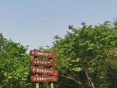 -千佛山风景名胜区