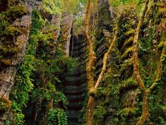 -梭布垭石林景区