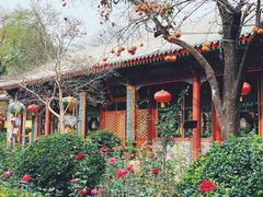-白家大院·王府宫廷菜(苏州街店)