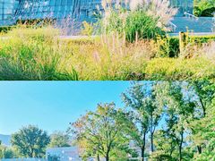 -国家植物园