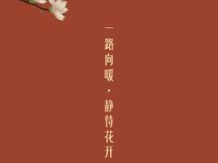 -晓宇盒饭(民安街店)